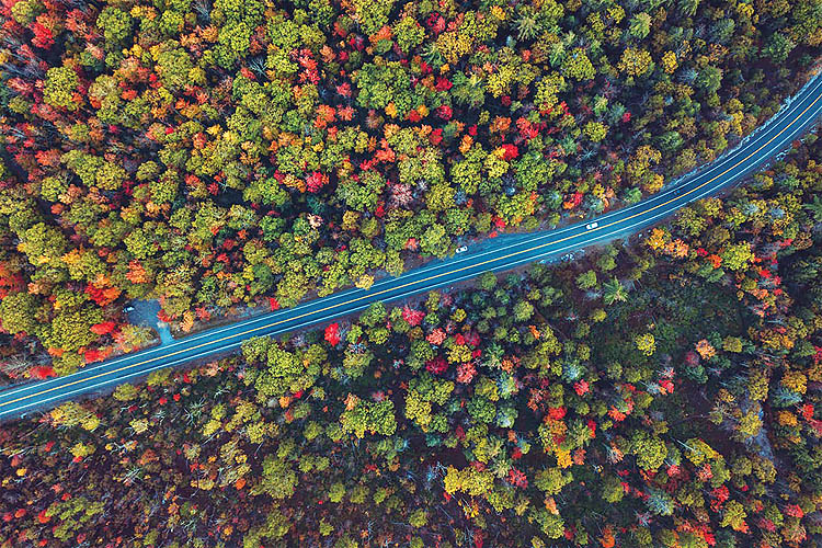 Catskills