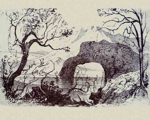 تست خطای دید؛ در این تصویر چند حیوان می بینید؟