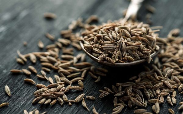 این دانه گیاهی نفخ شکم را ضربه فنی می کند