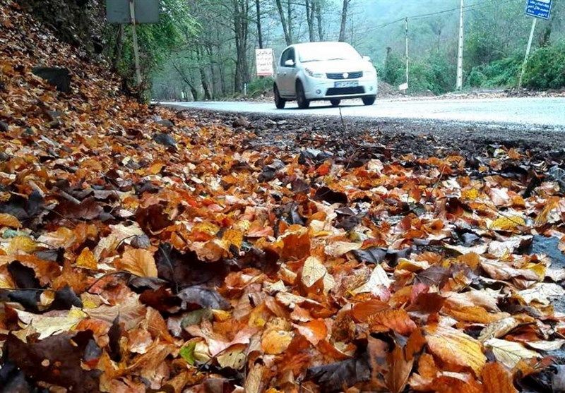 هشدار به 25 استان؛ باران و برف در راه است