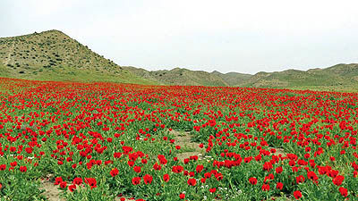 راز و جرگلان سرزمین کوه‌ها و دره‌های رازآلود