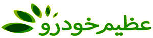 عظیم خودرو