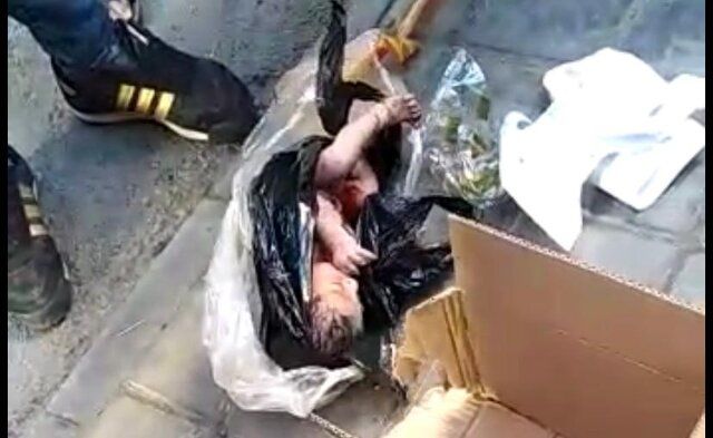 آمار نوزادان رها شده در تهران چقدر است؟