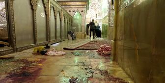 انتقاد تند مداح معروف از یک واکنش به حمله تروریستی به شاهچراغ