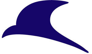 کرمان موتور
