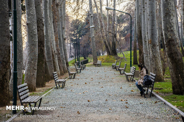 ضرغامی عذرخواهی کرد