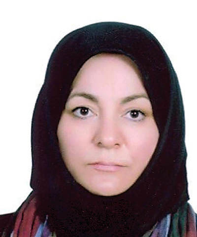 مکانیزم محافظت از حقوق سرمایه‌گذاران